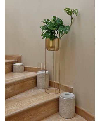 Ayaklı Gold Saksıda XL Monstera